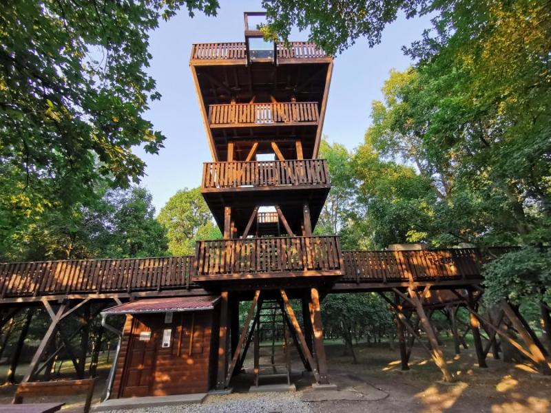 Erzsébet liget lombkorona sétány és kilátó, Gyomaendrőd